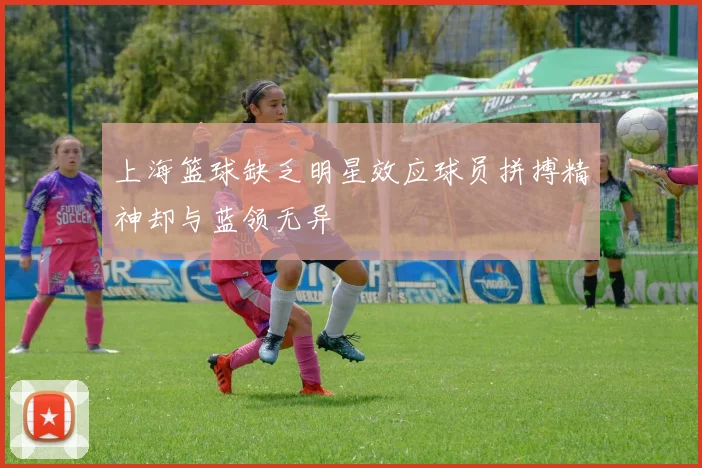 上海篮球缺乏明星效应球员拼搏精神却与蓝领无异