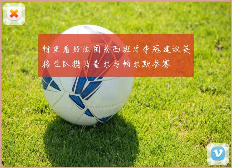 特里看好法国或西班牙夺冠建议英格兰队携马奎尔与帕尔默参赛