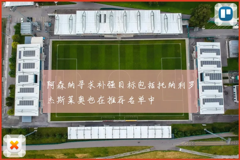 阿森纳寻求补强目标包括托纳利罗杰斯莱奥也在推荐名单中